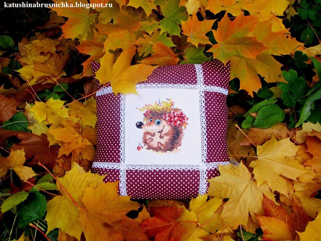 Porco Espinho Fofinho 01