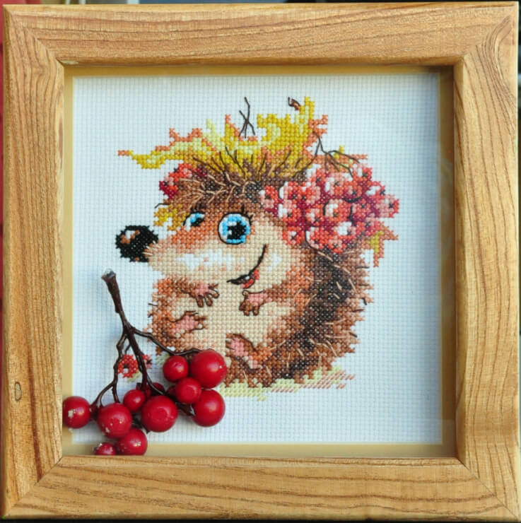 Porco Espinho Fofinho 02