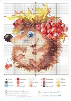 Porco Espinho Fofinho 04