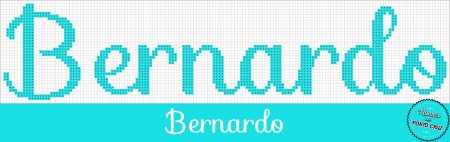 Bernardo 5