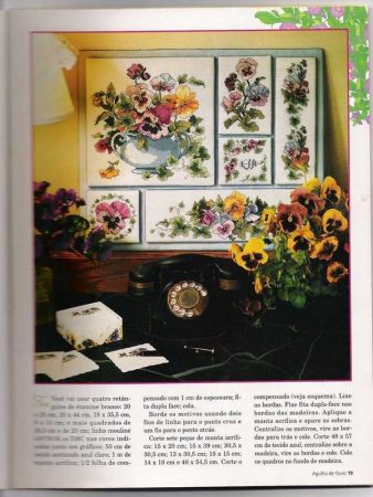 Agulha de Ouro 010 19