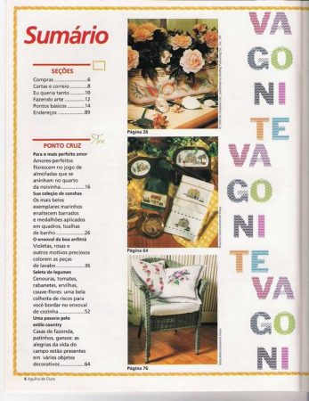 Agulha de Ouro 010 4